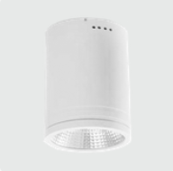 LED Cylindrical Surface Down Light